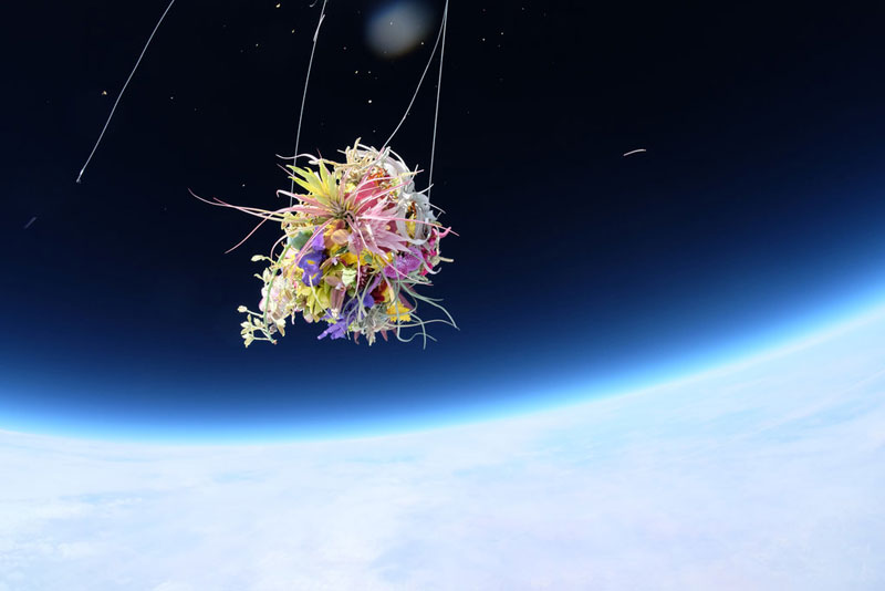 azuma-makoto-sends-flower-bouquet-into-space-1