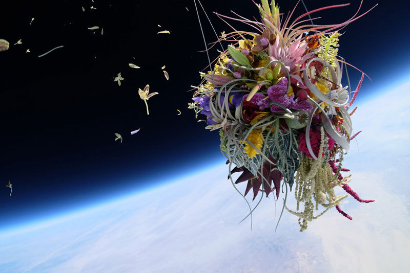 azuma-makoto-sends-flower-bouquet-into-space-2